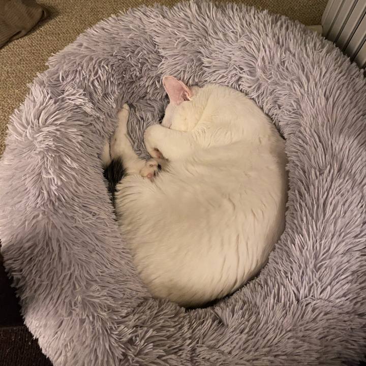 225beb9a d3d7 4864 bde1 a92d29099674 1583619939048