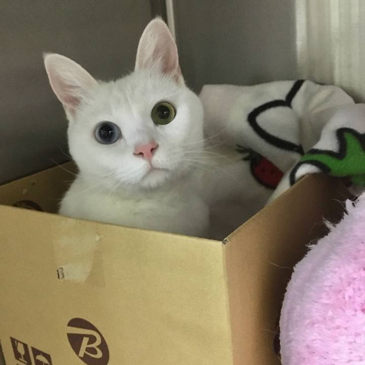 225bf405 b084 421b 9af0 d4a42440154b 1580812823453