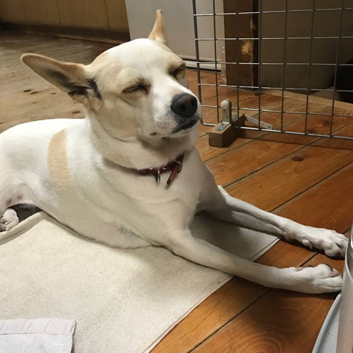 225c0add 791c 4150 a93d 6f433edfa97c 1542461662022