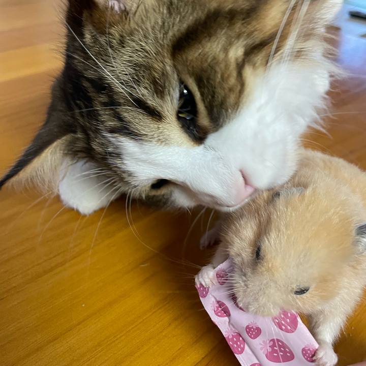 225c320b 0d9e 49b0 8371 e149edd55406 1660336142386