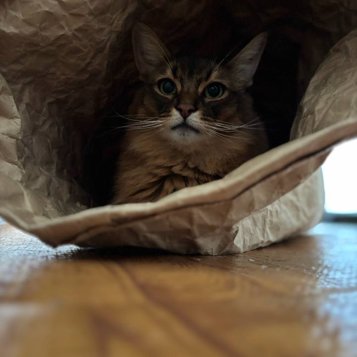 225c5d88 a60c 4238 b15f 239a7a045815 1751546183777