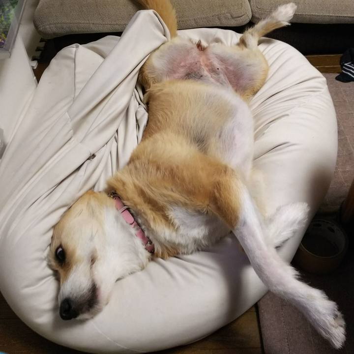 225c6ad8 982c 422b a980 85626dbe447c 1528374844170