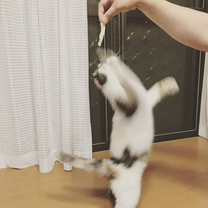 225c9e0e 6365 4780 b8e8 d95c0d4871d8 1531027503403