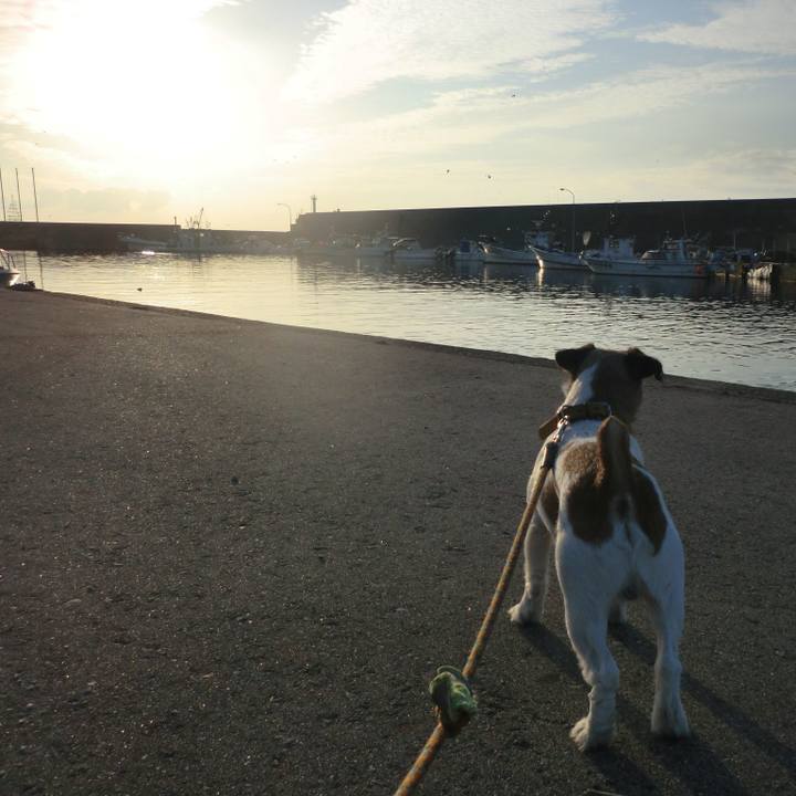 225cb8ff d092 4299 a546 18a91e8b110e 1509960023955