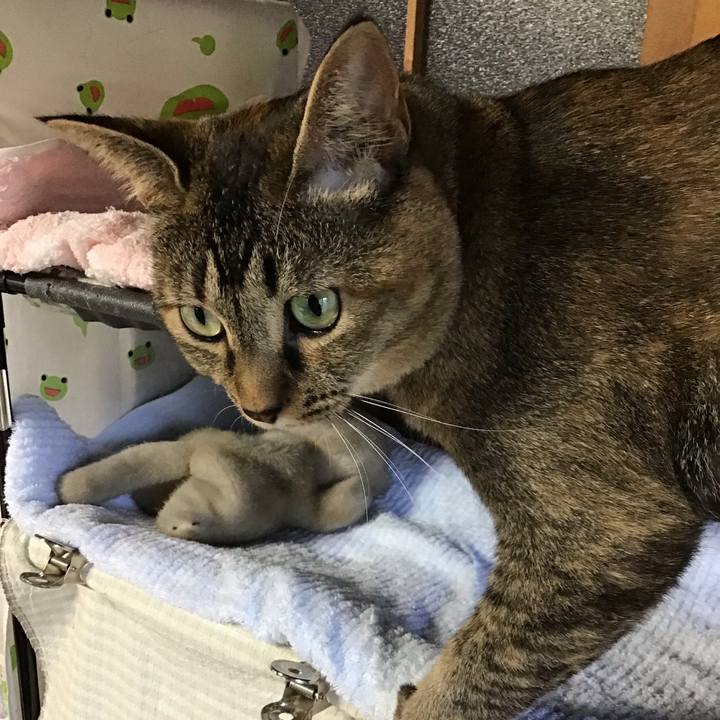 225cd710 d887 44d9 97ce 0a3e98dd840f 1627804243803