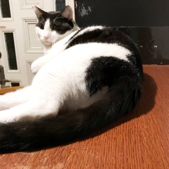 225cdb06 e28a 418d b2b3 d07f03d006e4 1524494135176