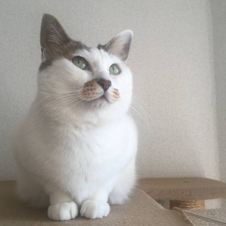 225d5001 a691 4bd4 a584 bc2e398c9453 1620115955112