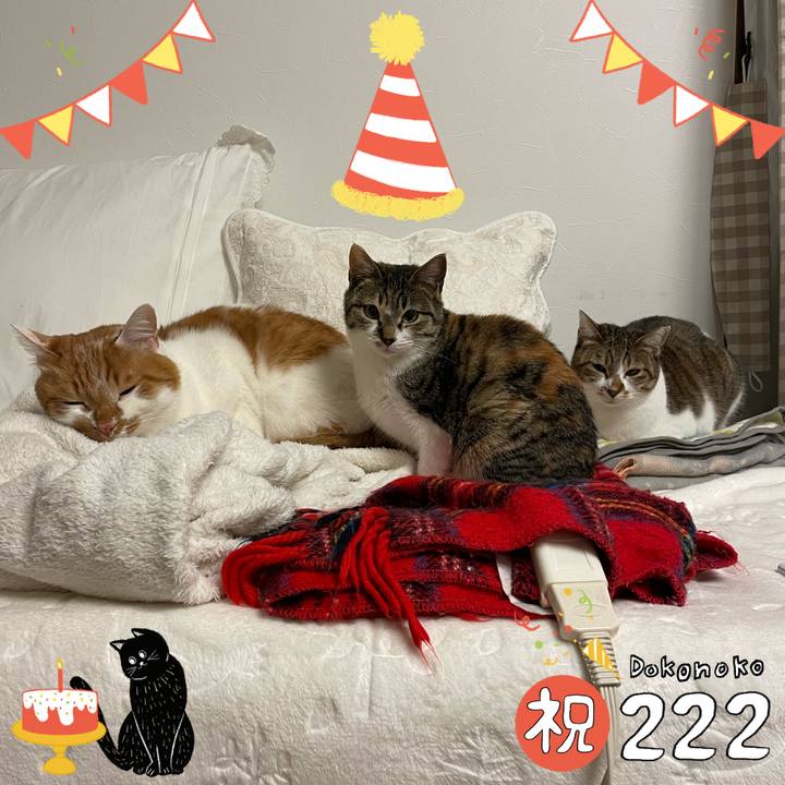 225d67b4 48dd 454b 8a12 41cc30a92d89 1645534797329