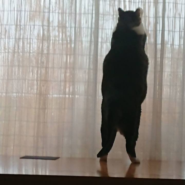 225d8999 81a0 4837 8c9f 7bff0463db1e 1563339525351