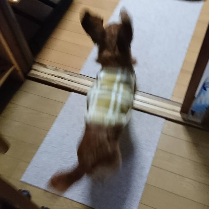 225dbf69 4a21 43c2 b107 d9a7b0554307 1515829349212