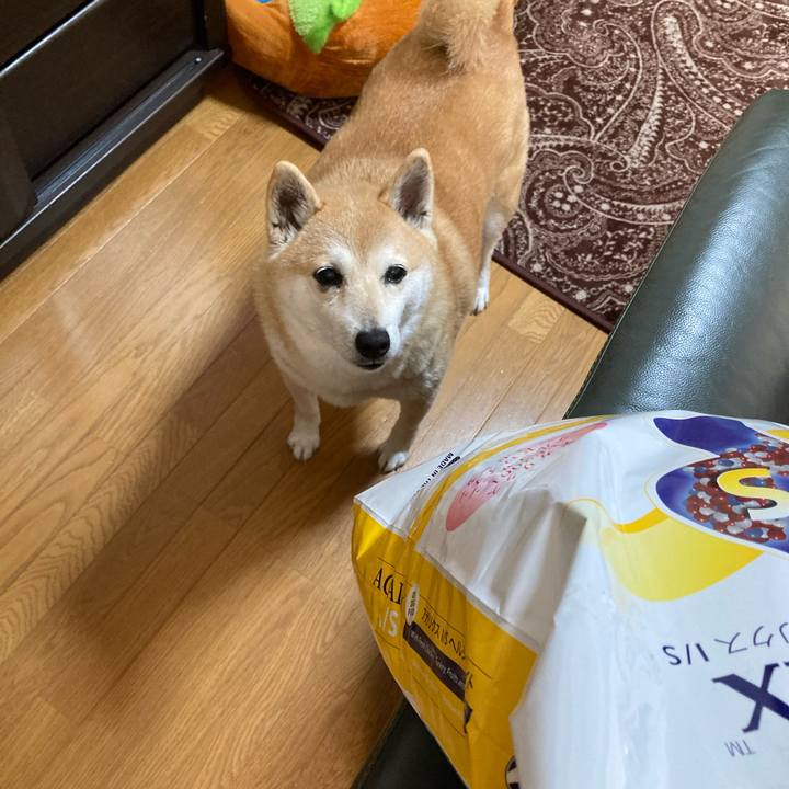 225dc1c2 54ec 4a11 b152 14b1f7f8228c 1617797393658