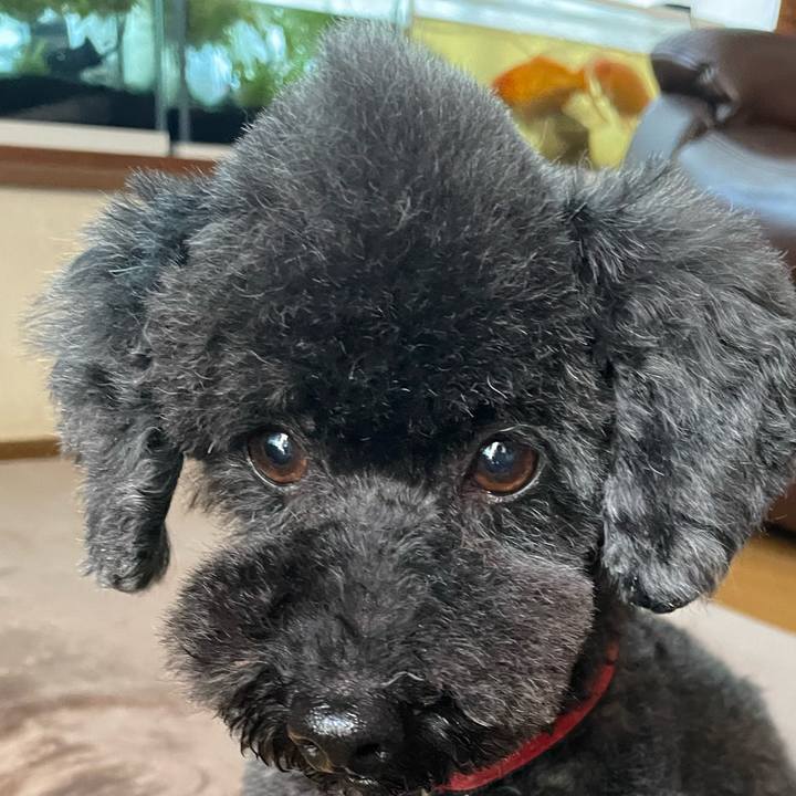 225dc81f e477 4b7c a9cb 9ea07a74b7df 1716645855159