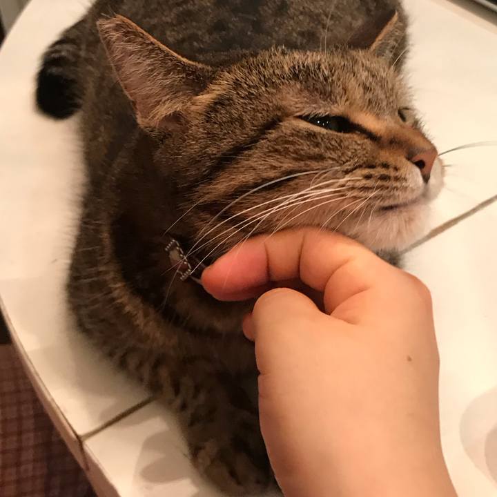 225dfb9e 3e28 4e58 bbb0 e364961ada2f 1564582694858