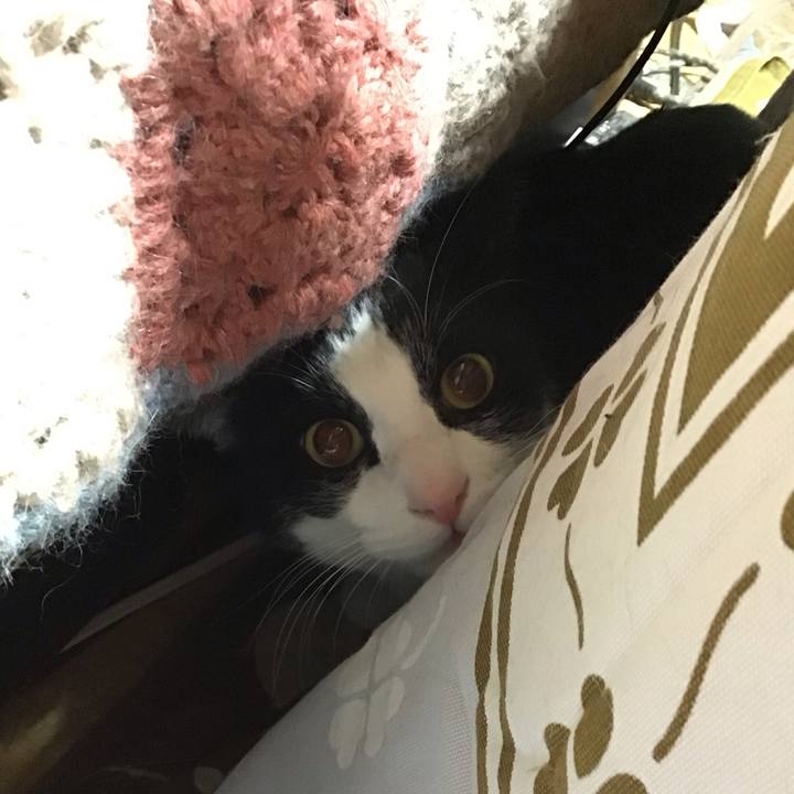 225e0451 fbef 49f2 8ad7 148abe97a7ab 1734511889649