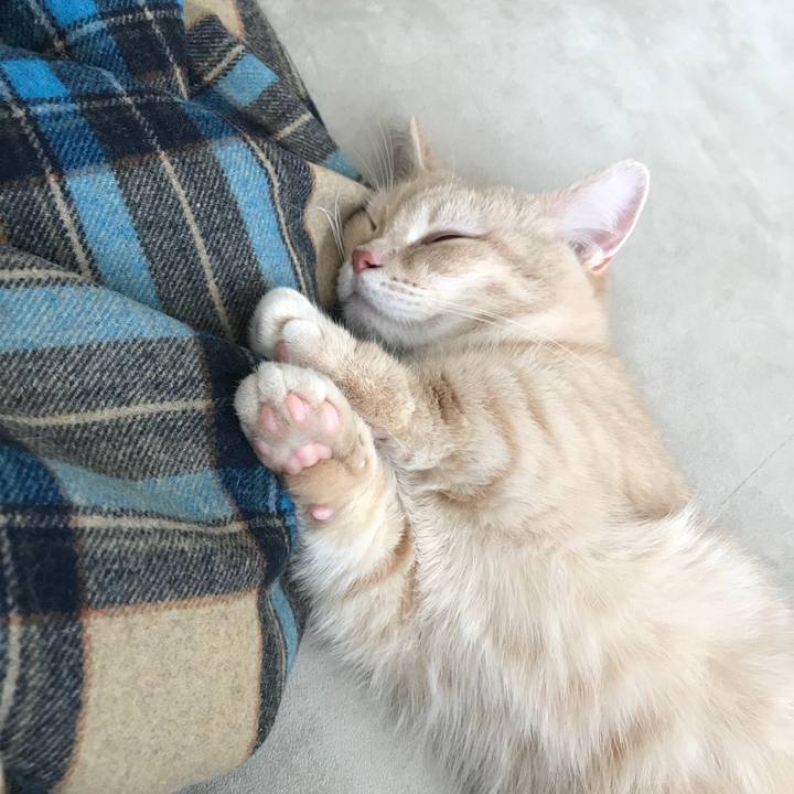 225e07c9 bea3 4031 ae2a b7a75a5253a0 1520825384382