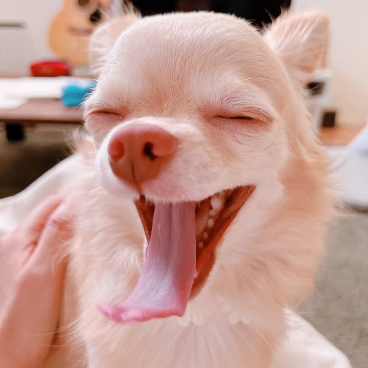 225e3ad0 f1ca 43c7 a7f2 91e8a4812bd2 1659154085250