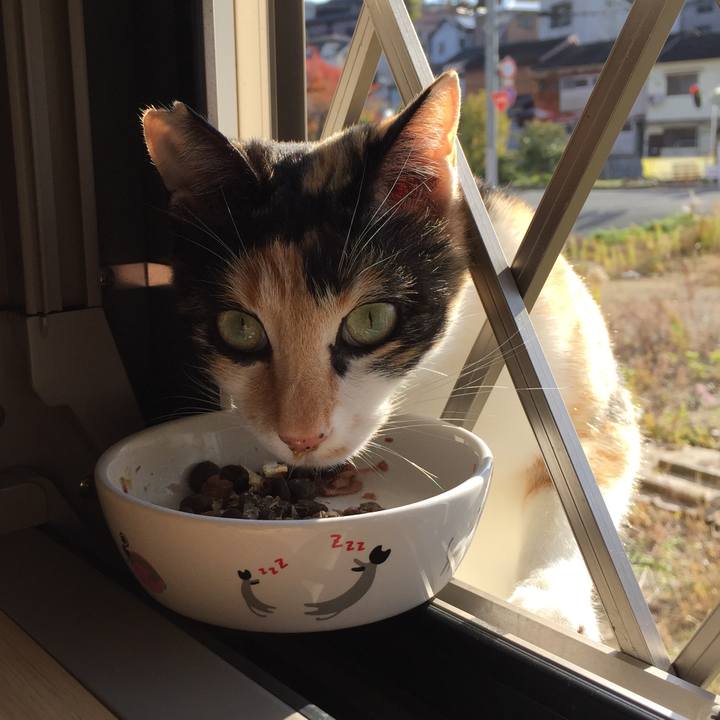 225e7694 e3e9 4890 bc51 516af311c3d3 1511573032407