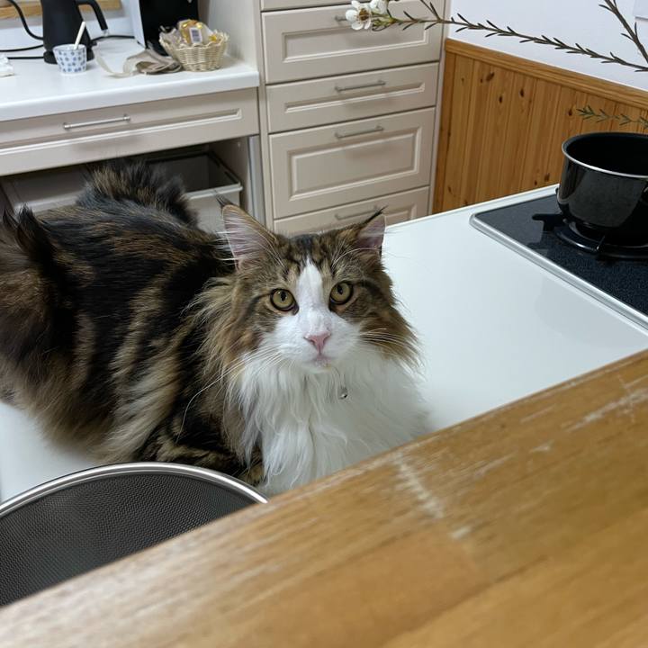 225e9d06 49ca 45d9 8de3 5509a40b069e 1645696550945