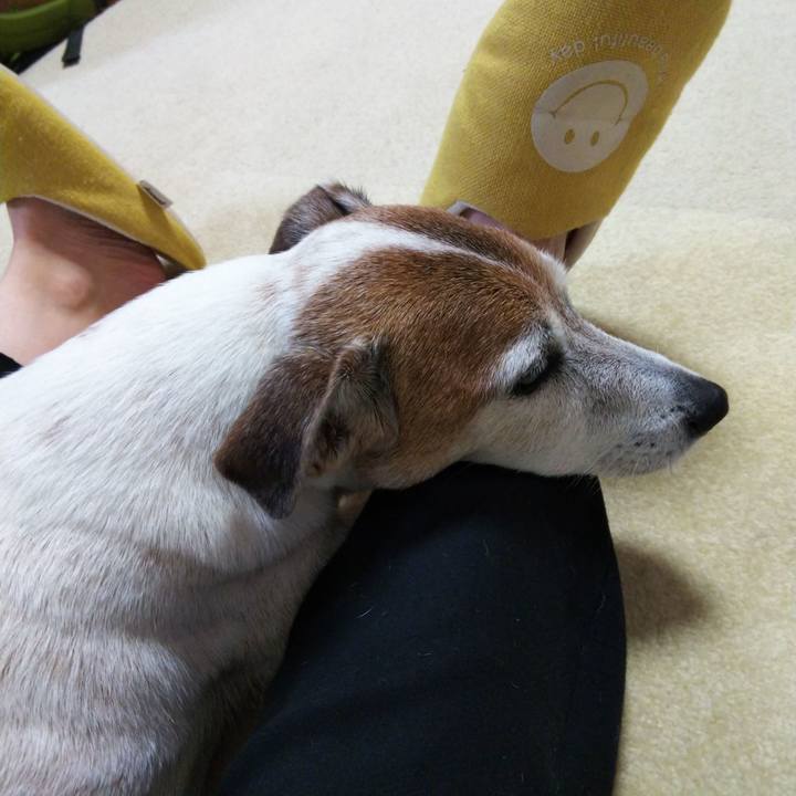 225eb1c7 cc21 447c a8bf f0c9ea78830d 1527775722134