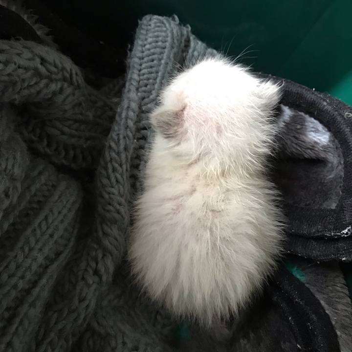 225ecdc0 11cb 4220 9718 35658c1aa806 1555298399161