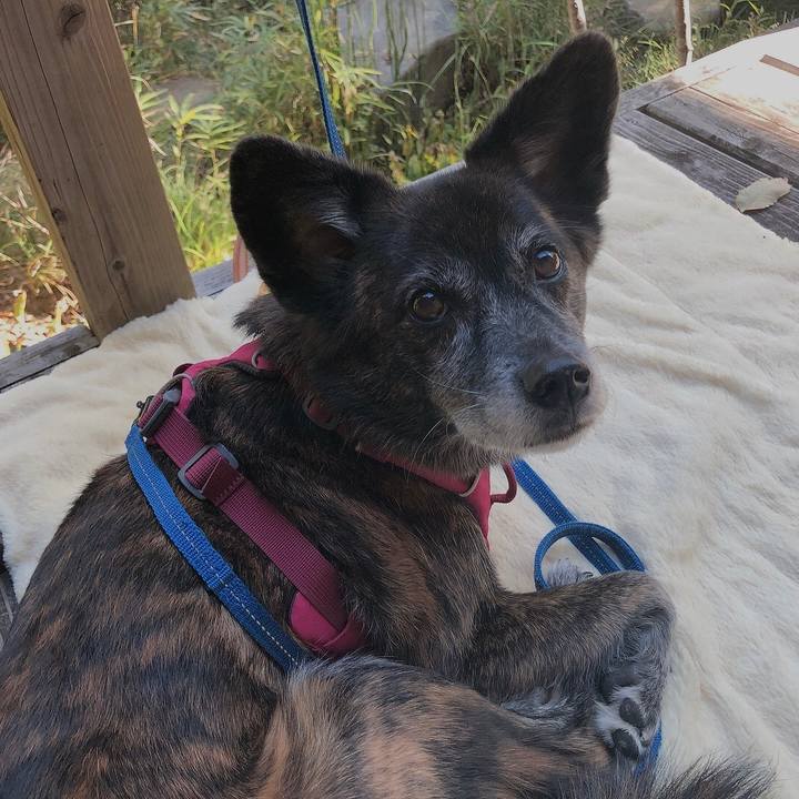 225f1051 1dc4 4982 b4e7 987096108426 1640302998192