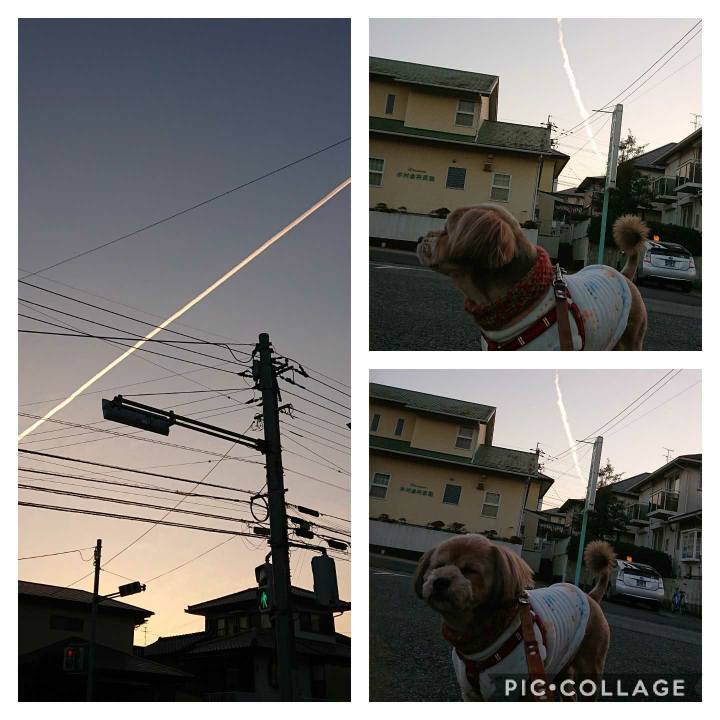 225f284b 3185 4f0b ba1b 55339a2b086f 1611138569126