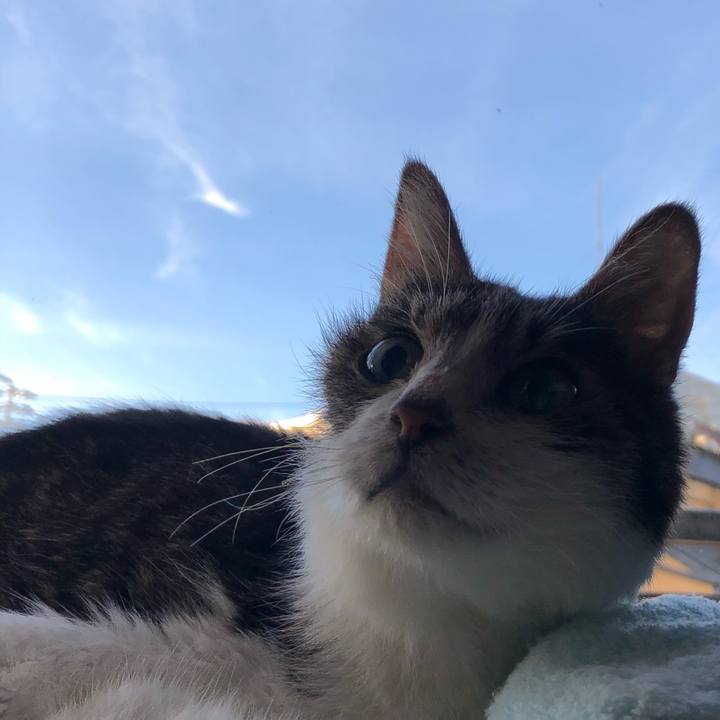 225f2b0c f43e 48c4 b36a f6b99c633d5d 1753999492995