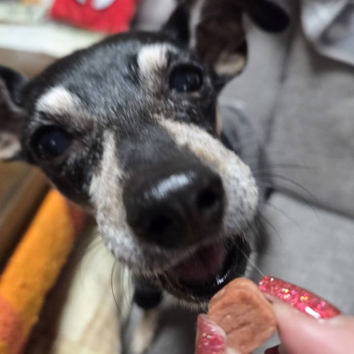 225f7181 1612 48a1 b919 c4b8de709e72 1764737595423