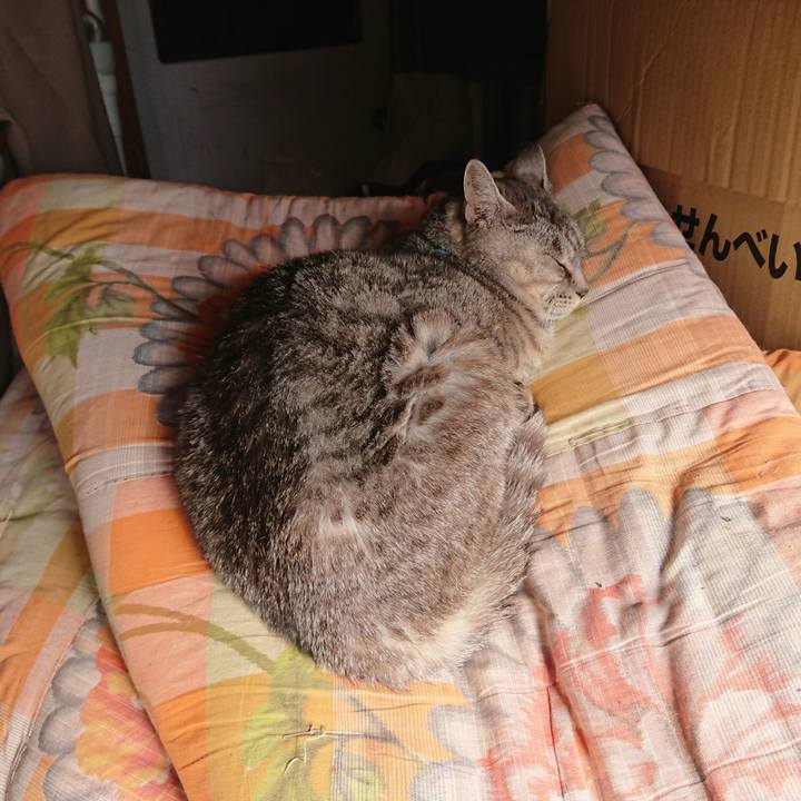 225fa6fb 2977 49e4 969c 3f39a5f1d1e7 1572661484956