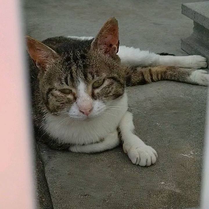 225fecf5 c97c 465a b10b d6e497e799c9 1593386699953