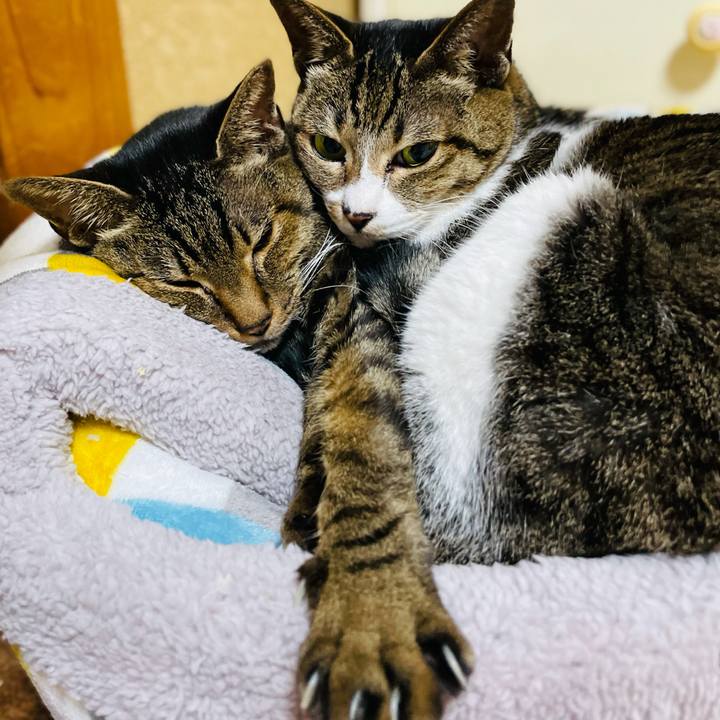 225ffde3 838f 4bb4 b569 cce493c31978 1612230391905