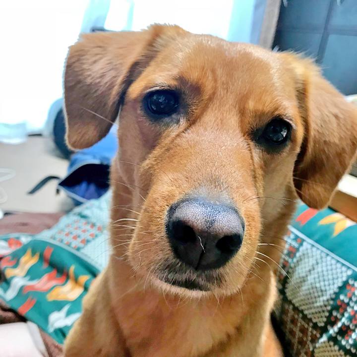 226005cb 007c 45ca aad0 d247793709ec 1521602966179