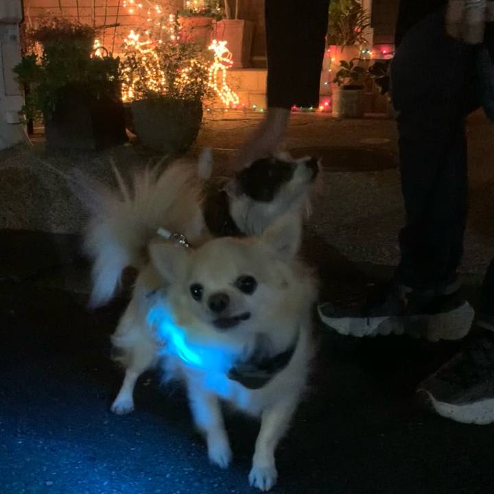 22603265 97ae 4076 99c9 445307661611 1701263398236