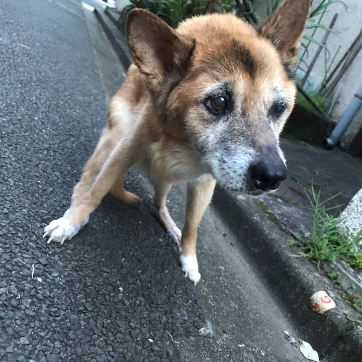 2260506f 3205 4626 9a84 3a944ef96e4b 1565258379650