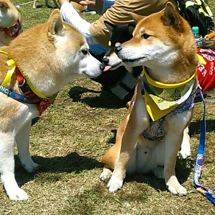 2260871b 8321 4f56 aa10 338cf93c1acb 1555167731710