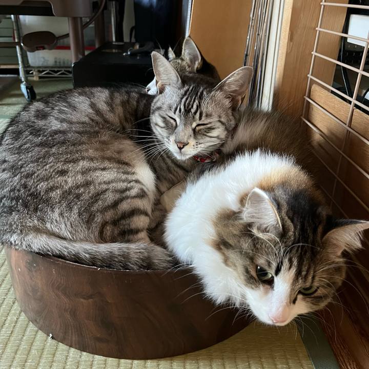 2260996f 1d86 4143 81ab b4c8259ea1a7 1764312471152