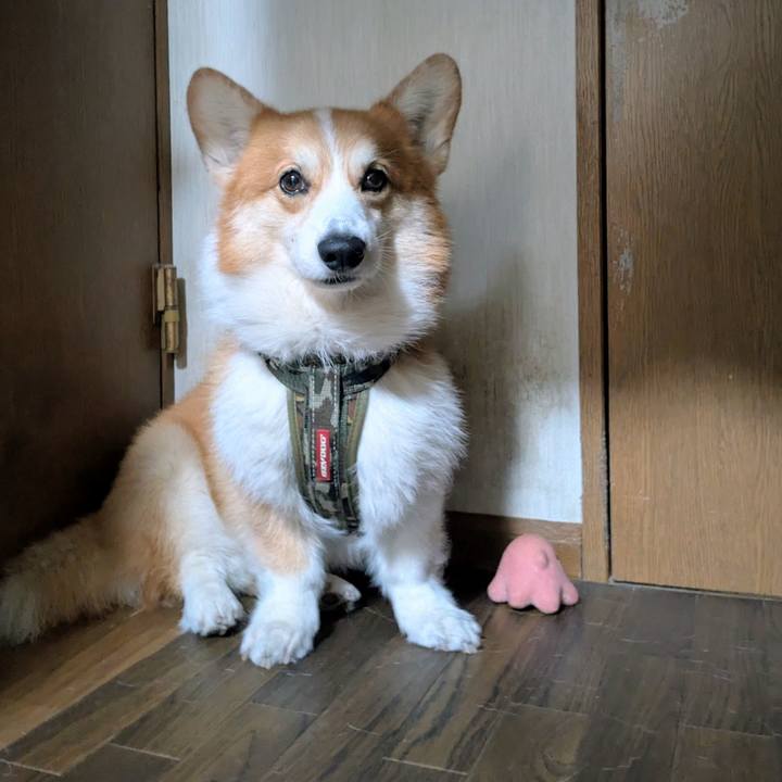 2260c2fb fdea 432f 8ac6 65c4cc257735 1761016537548