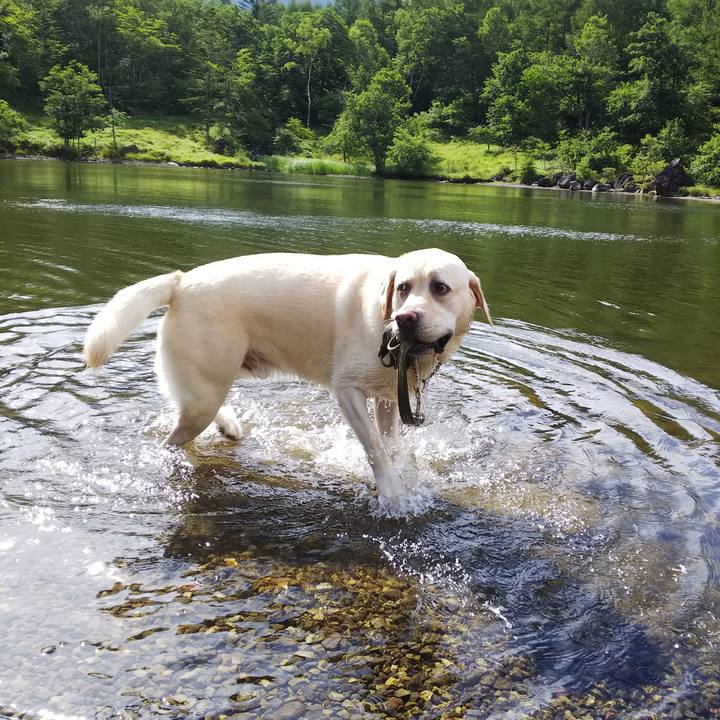 2260dd3c 16e0 4ba6 baa4 79fa7a87279e 1565940245908