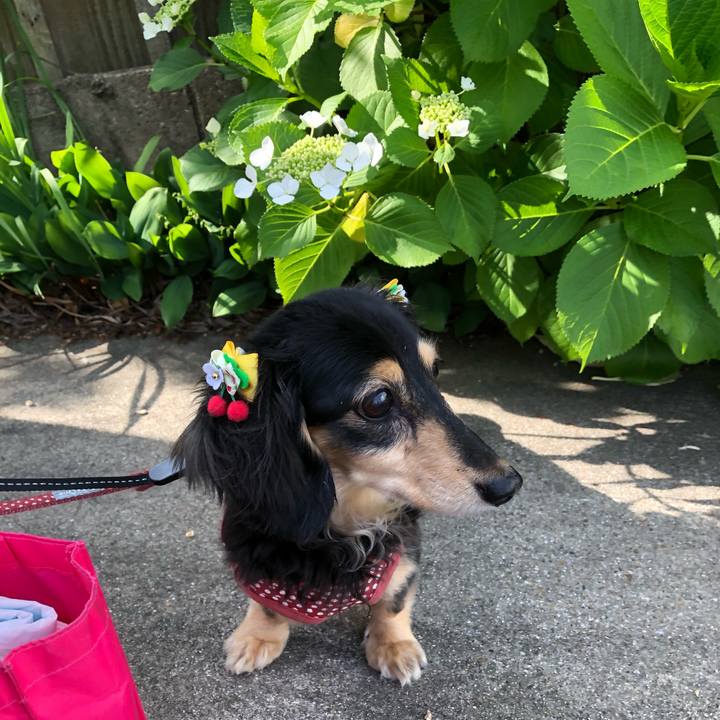 22611ee9 4814 415e a7c0 256b10f513a2 1559346752454