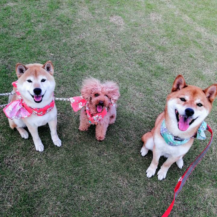 22615f02 4cb0 455f 95e7 105c85ad51b8 1591789180812