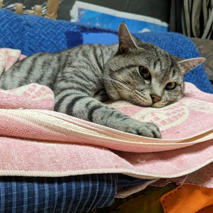 22617924 b636 4405 8143 6419d9563238 1697012920217