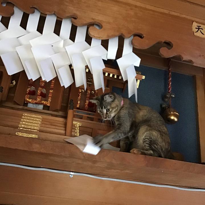 226183e4 cf2d 4b60 b97d f123a99f1766 1573284713646