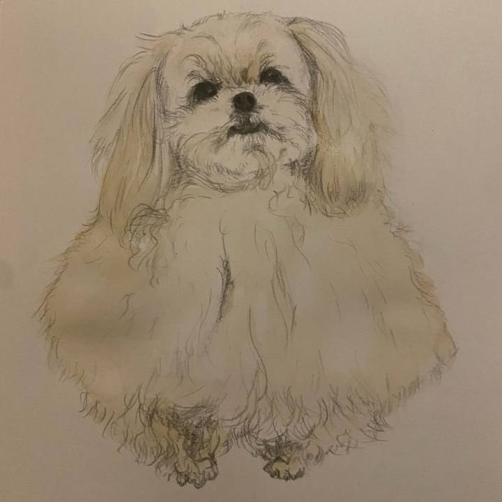 22618c43 4de7 479e af54 82ff8bb6ce3c 1730732424078