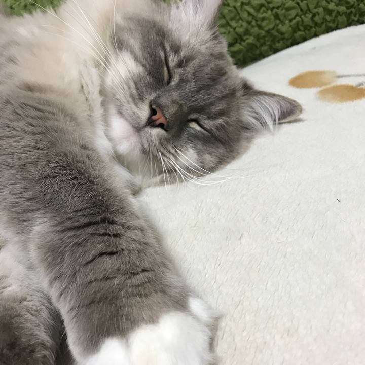 2261b1bd 5728 4422 9151 a06a46133db0 1512384393362