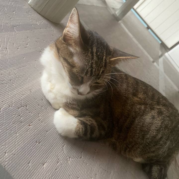 2261bc97 2750 454a b391 7ce9ba711c1a 1659711052275