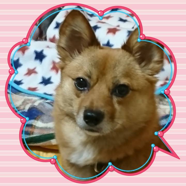 2261beea b271 4fc7 9efe 115bcb7f2cbb 1531313194579