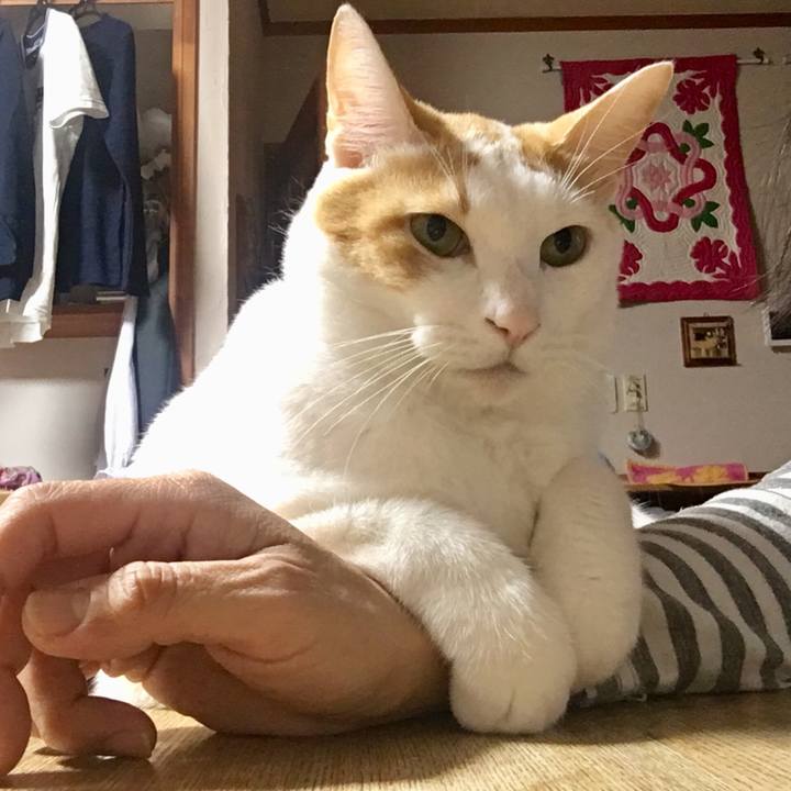 2261cd22 a690 494c 969c 1bb195bf8a8b 1510237143811