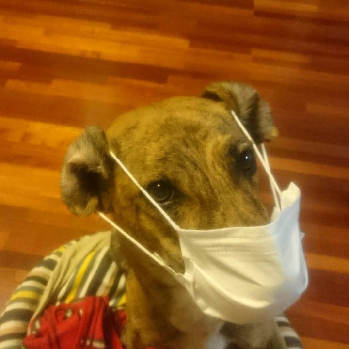 22621d1c ba9f 4641 88f9 8e4855b80ebe 1593329834859