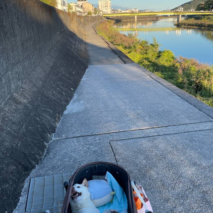 22621d86 4693 428e 9e5e ab0ba6964ccb 1666777343300