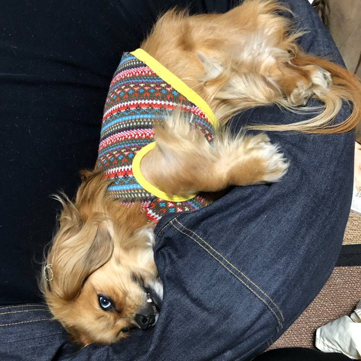 22623ca2 68b8 4658 897e ff06dfdb3881 1549320092183